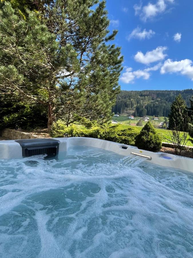 La Charbonniere, Grand Gite Haut-De-Gamme Avec Jacuzzi Et Sauna Gérardmer Buitenkant foto